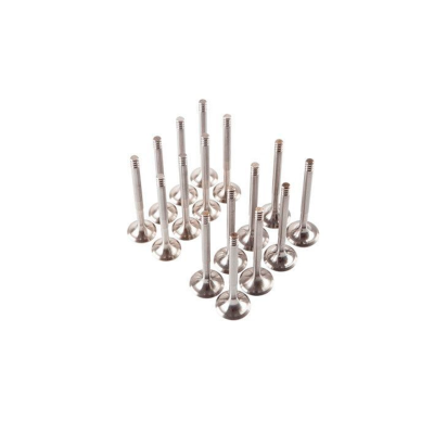 Клапана 2110 "SM" (16 кл) (2816, 2817)  {10} (2112-1007010/12)