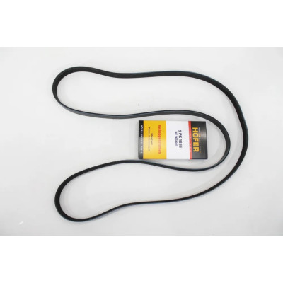 Ремень ручейк 2123 "Hofer" (5PK1885) (HF103605)